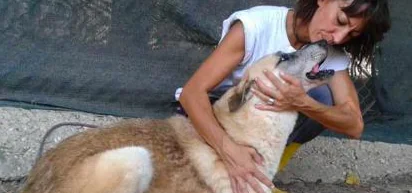Tutela animali e ambiente in Costituzione: il primo sì arriva dal Senato